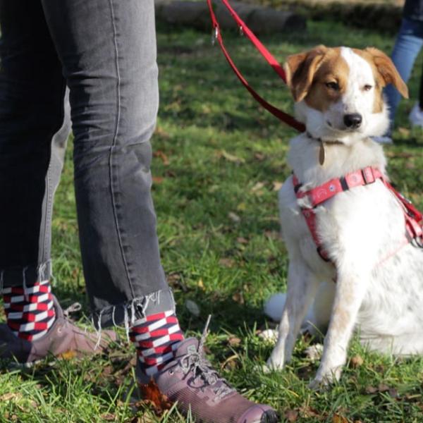 Grundkurs II Inkl. halber Einzelstunde