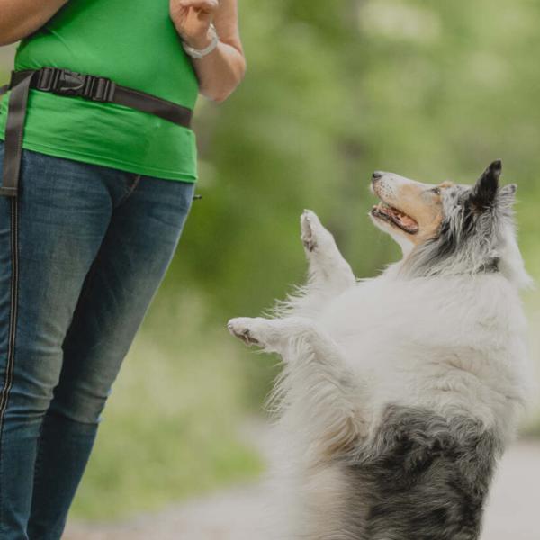 Trick&Dance-Intensivtraining (HUni-Spiele)