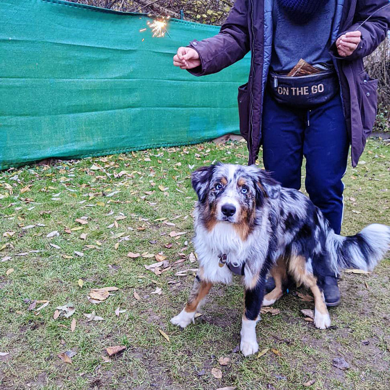 Silvestertraining