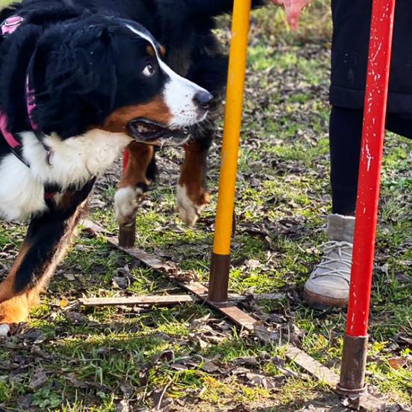 Mobility-Intensivtraining (HUni-Spiele)