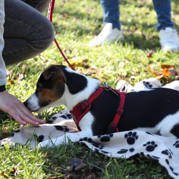 Grundkurs I inkl. halbe Einzelstunde