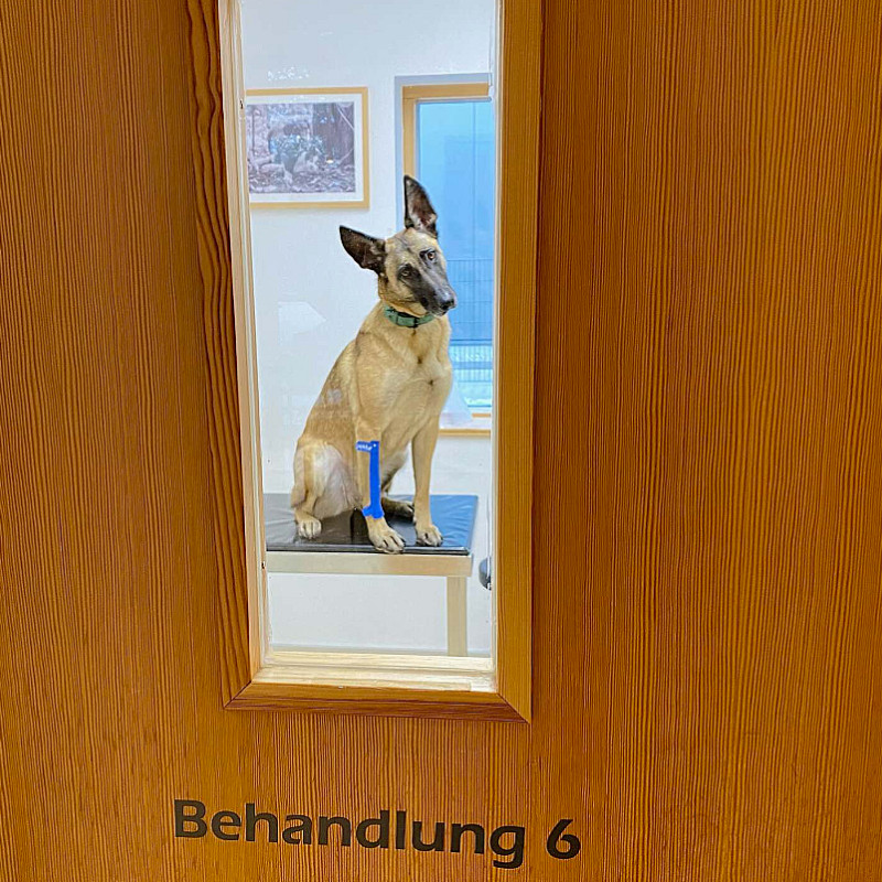 Erste Hilfe Seminar