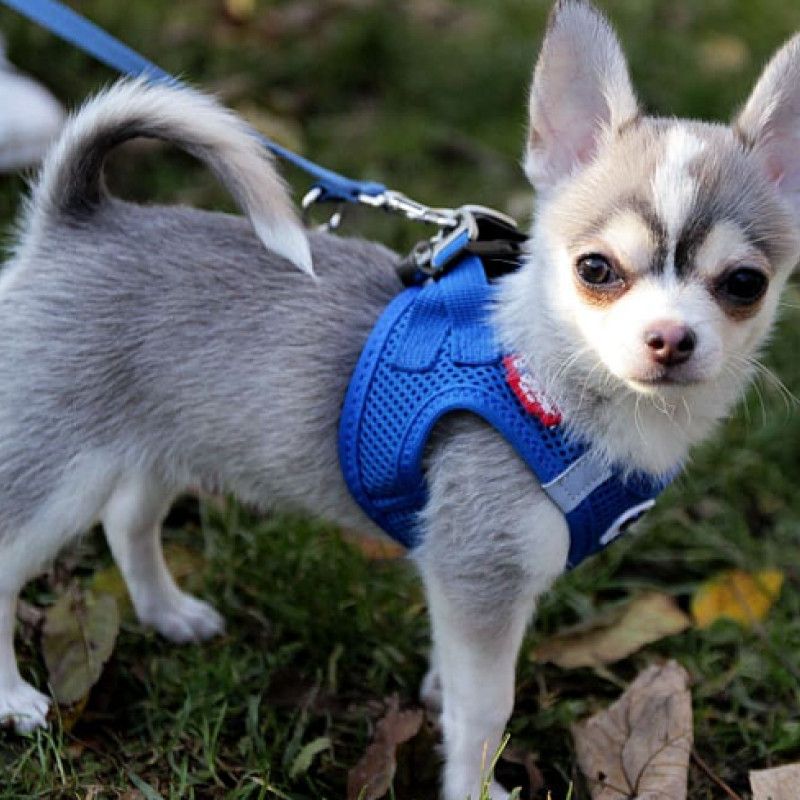Zwergerlkurs II inkl. halbe Einzelstunde
