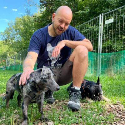 Maikel Van der Heijden