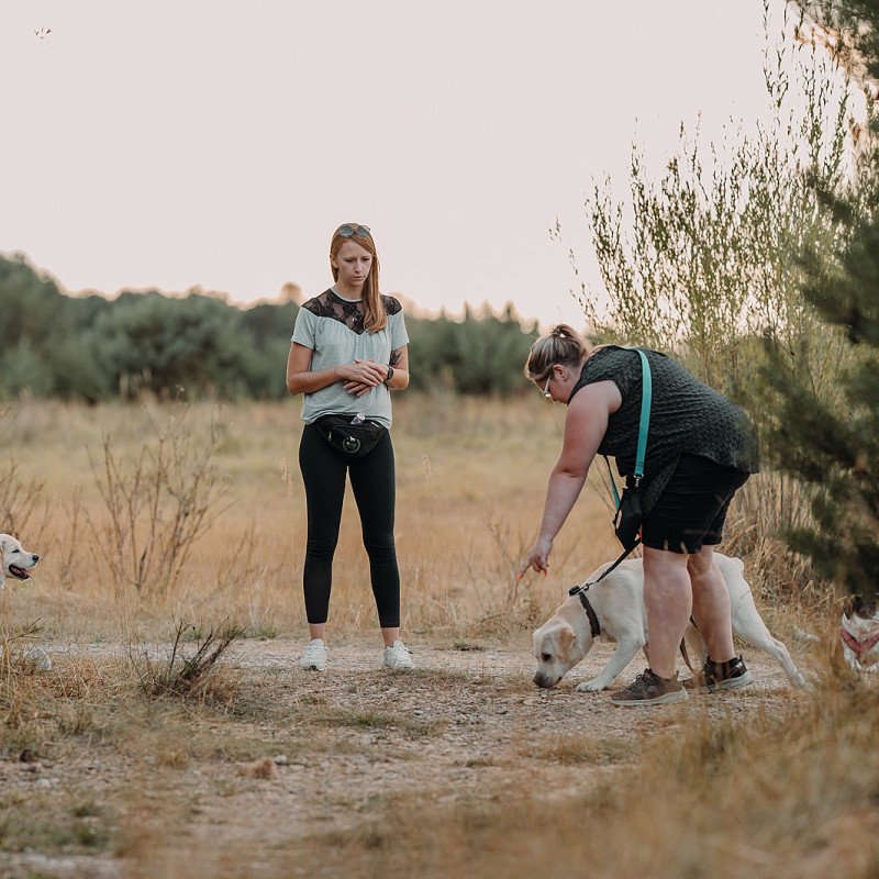 Fährten-Intensivtraining Einsteiger (HUni-Spiele)
