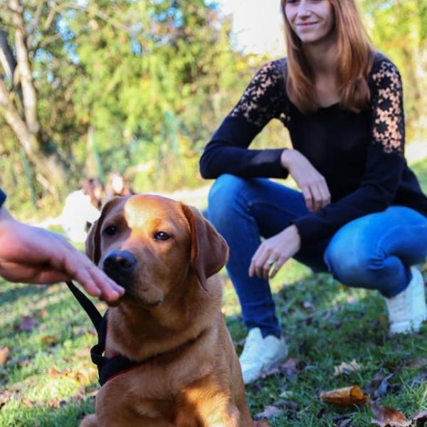 Einstufung / Freies Üben