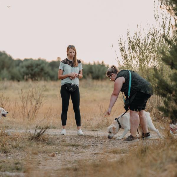 Apport&Spiel-Intensivtraining (HUni-Spiele) inkl. hochwertigem Spielzeug