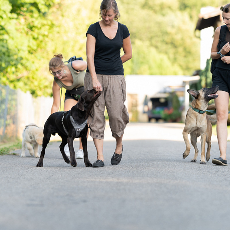 Social Walk Westpark