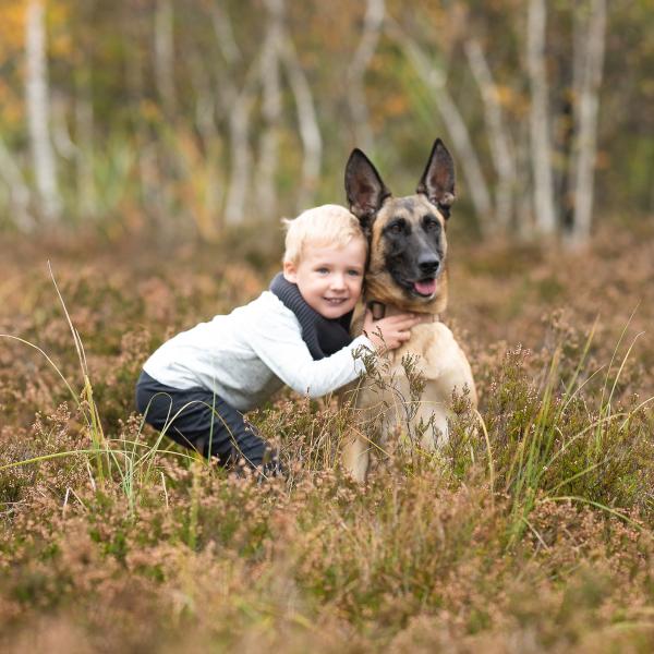 Aufzeichnung: Familienhund