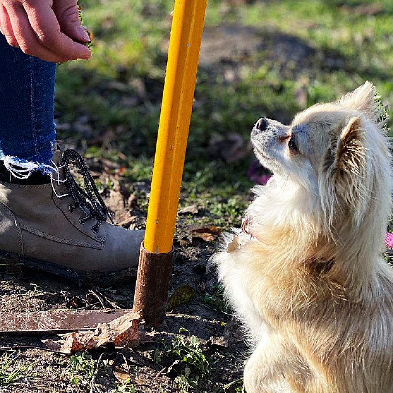Zwergerlkurs I inkl. halbe Einzelstunde