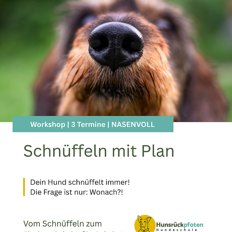 Nasenvoll - Schnüffeln mit Plan