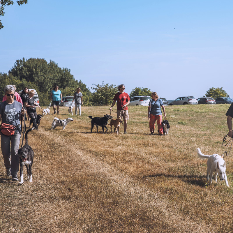 "Uff der Gass" - Socialwalk