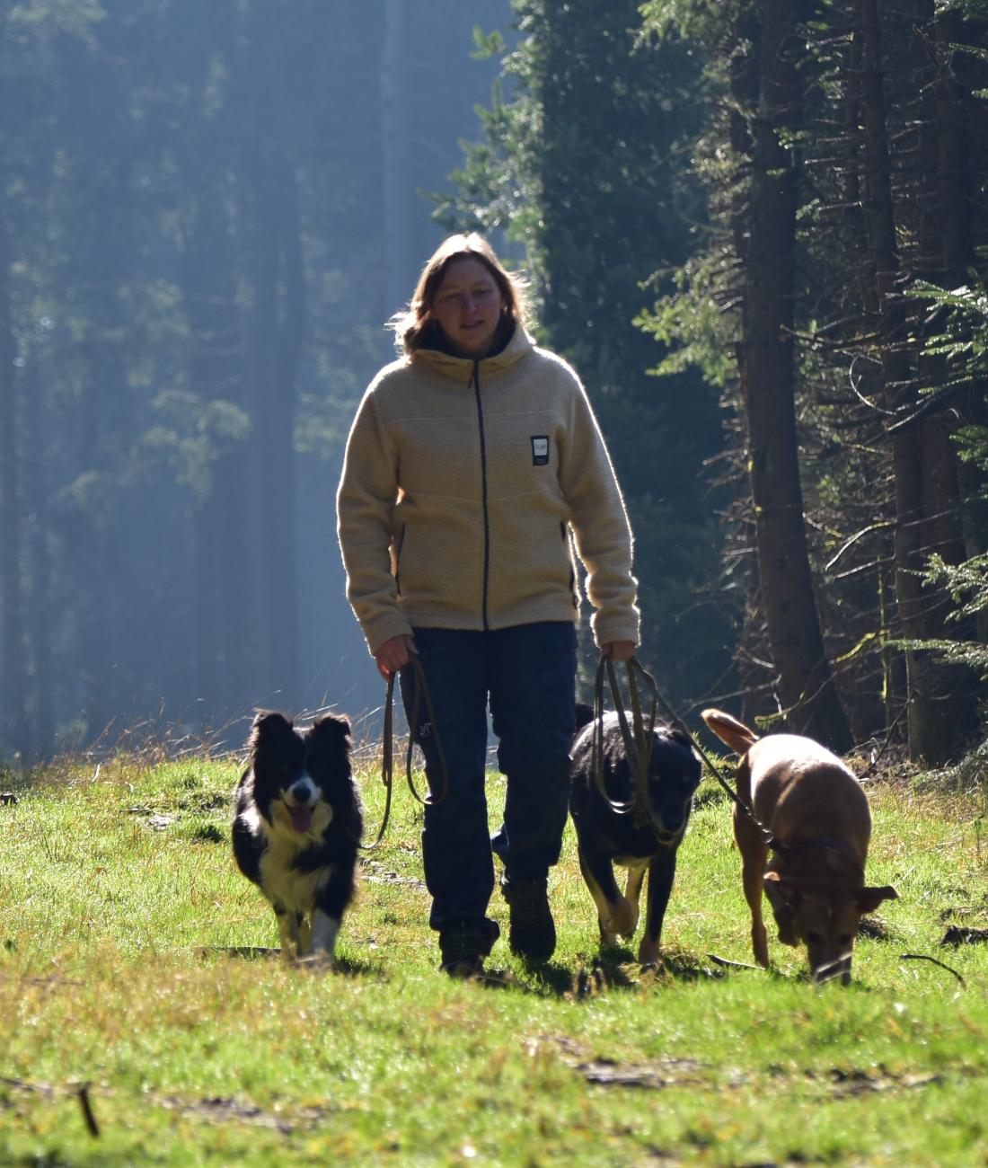 mobile Hundeschule