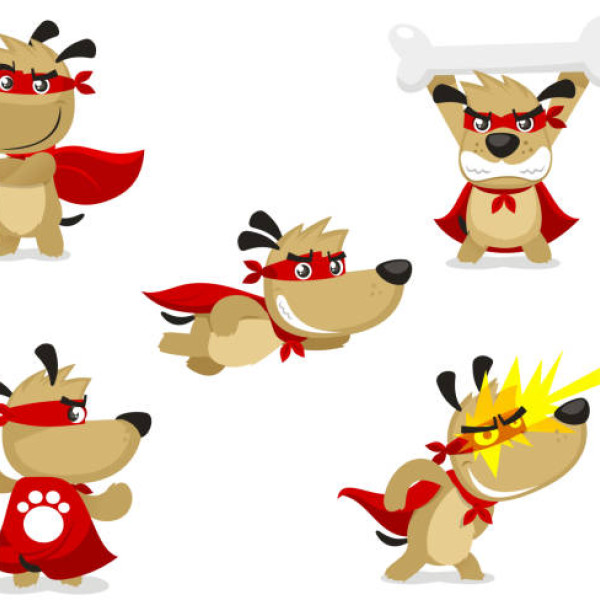 Bewegst du deinen Hund oder er dich?