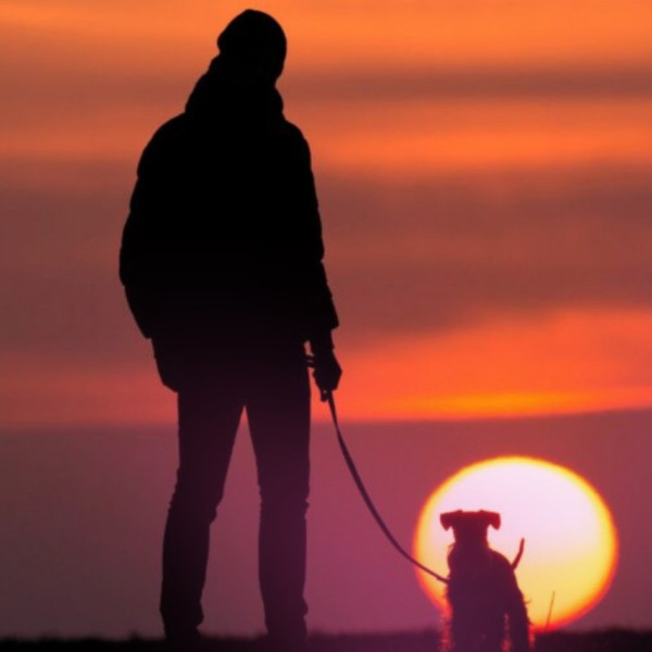 Intensivtraining Raumverwaltung