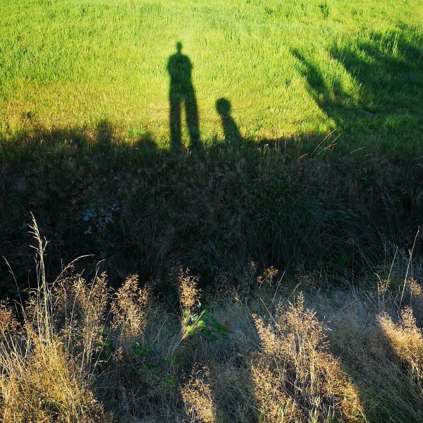 Anti-Stress-Workshop