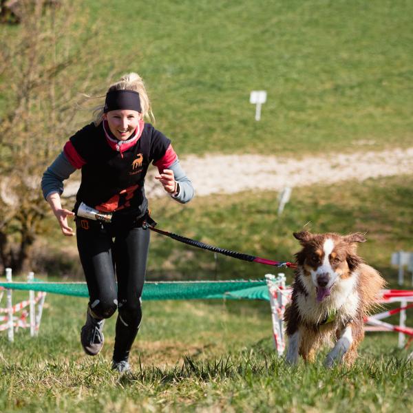 Zughundesport Workshop - Fortgeschritten