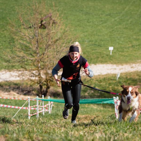 Zughundesport Workshop