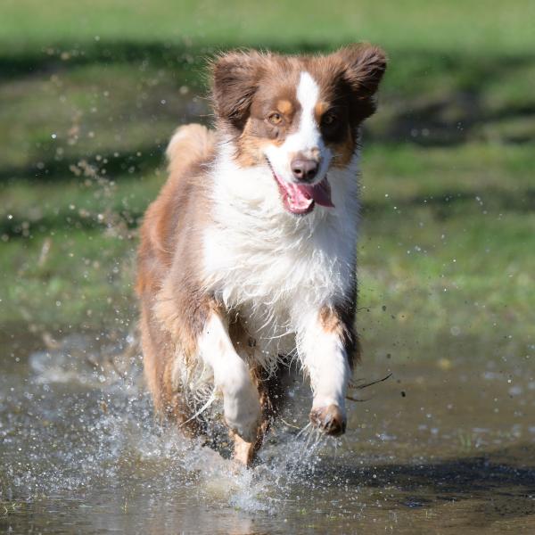 Rückrufkurs Freitag