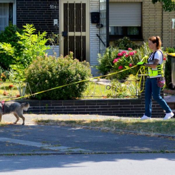 Mantrailing Montags I