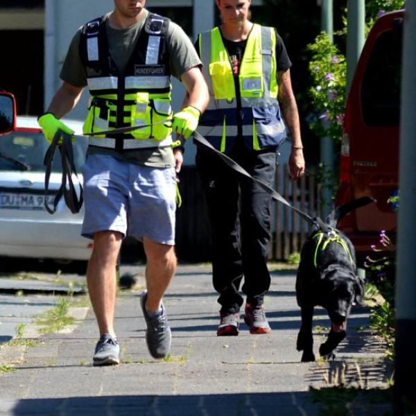 Mantrailing Mittwochs