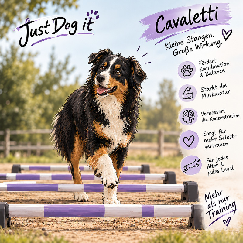 Cavaletti mit Hund