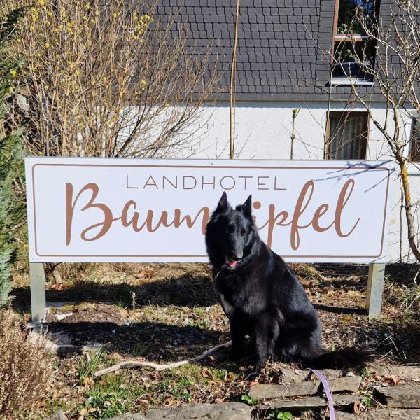 Pfotenwochenende 2026