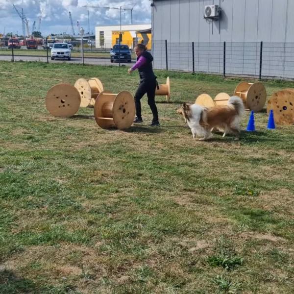 Longieren - Gruppe 1 (09:30 - 10:45 Uhr)