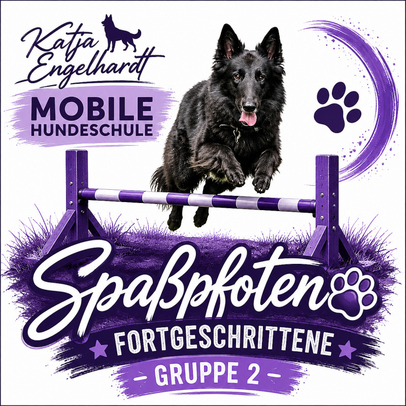 Spaßpfoten - Gruppe 2