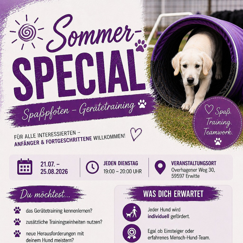 Spaßpfoten - Sommerspecial - Probetraining