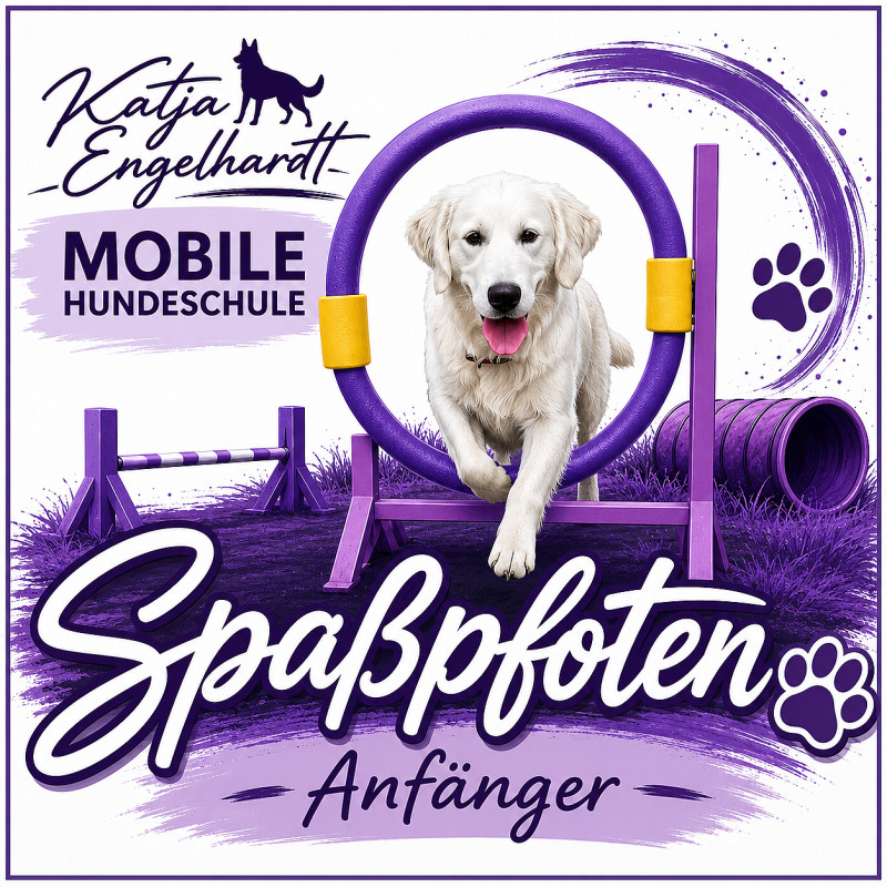 Spaßpfoten (Anfänger)