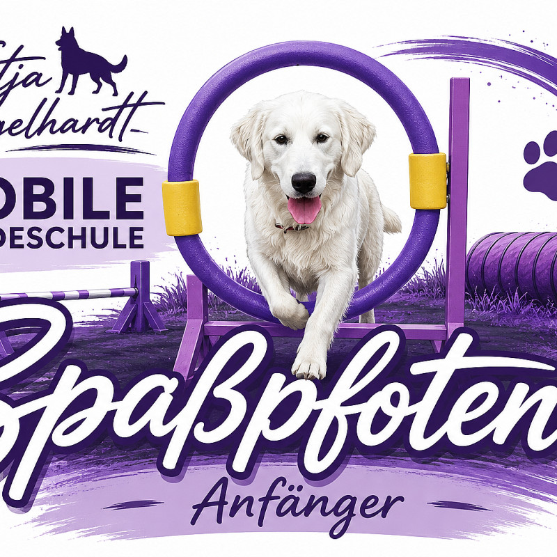 Spaßpfoten - Anfänger