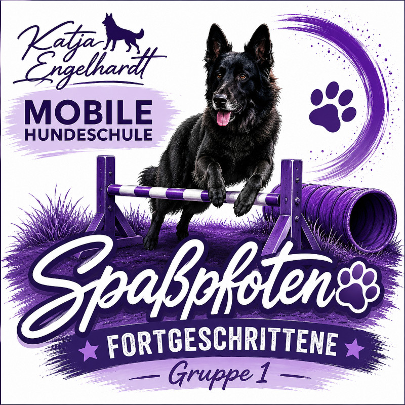 Spaßpfoten Fortgeschrittene - Gruppe 1