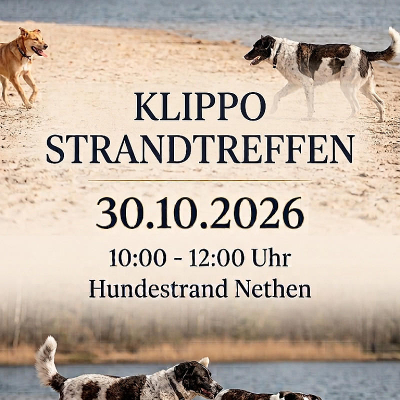 Klippo Strandtreffen
