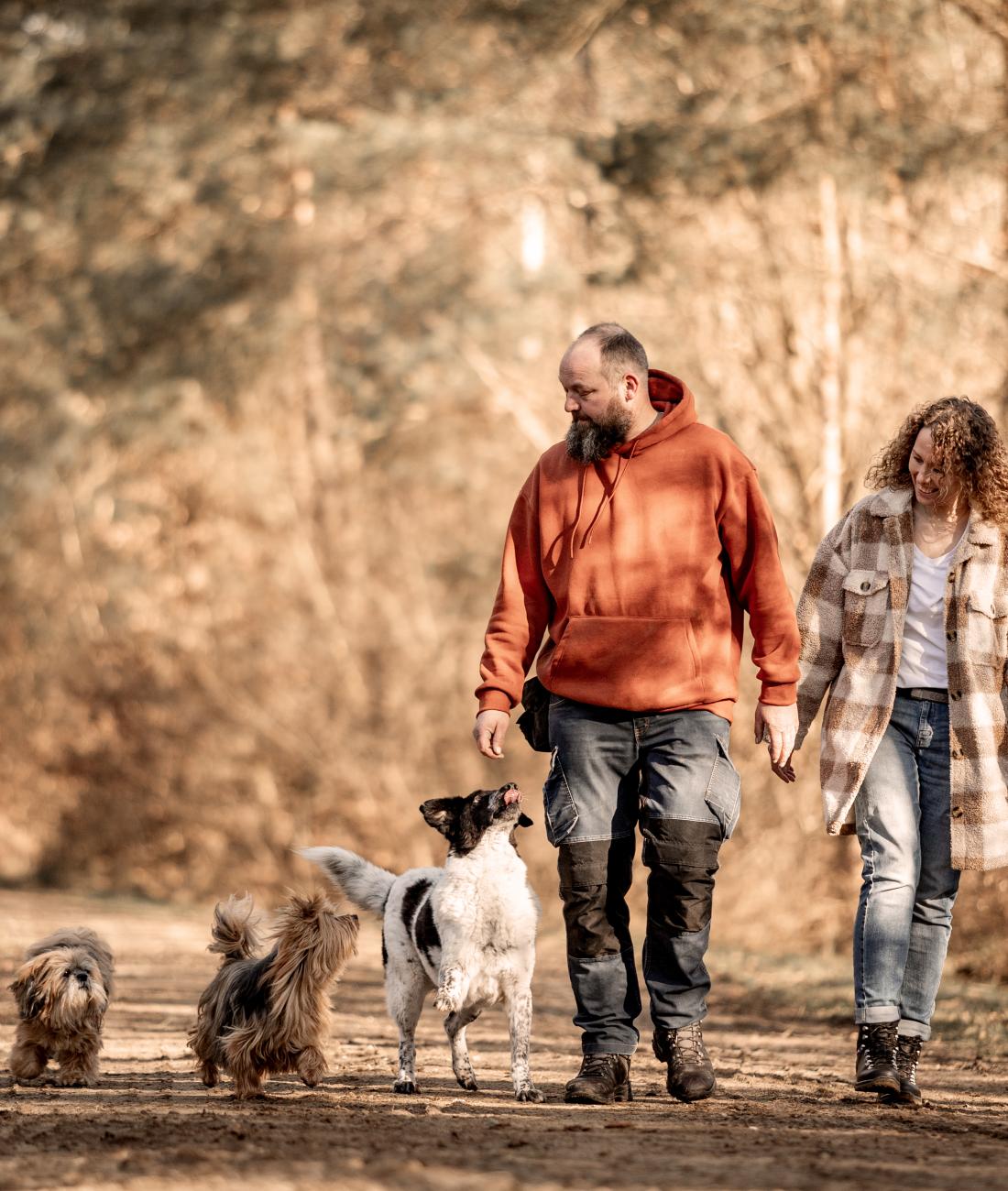 Hundeschule