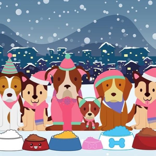 Nikolaus Special mit Spiel, Spaß und K3 Parkour für Jederhund