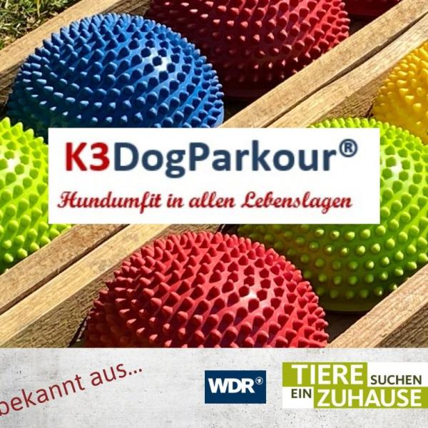 K3 Dog Parkour® - Welpen und Junghunde Spezial