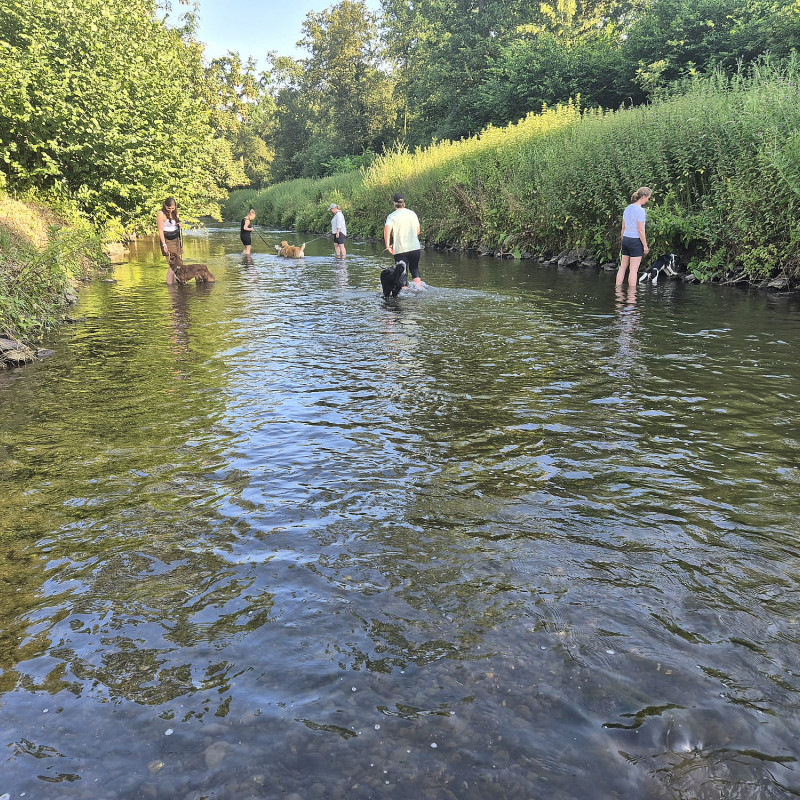 Spaziergang mit Baden/Wassergewöhnung