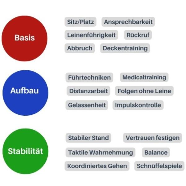 K3 Dog Parkour® - Grunderziehung Spezial