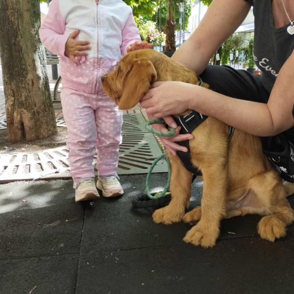 Ausflug Mut, Sicherheit & Ruhe