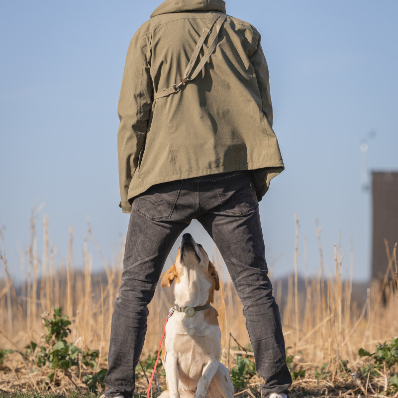 Grunderziehung erwachsene Hunde - Samstag - 11:00