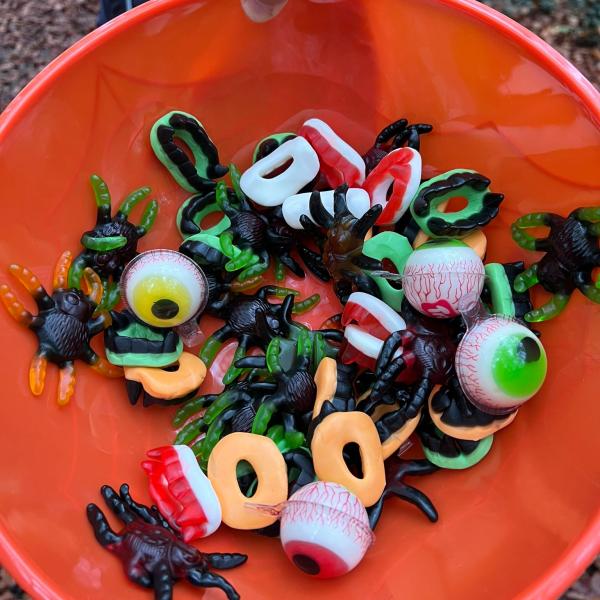 Halloween Special mit Spiel, Spaß und K3 Parkour für Jederhund