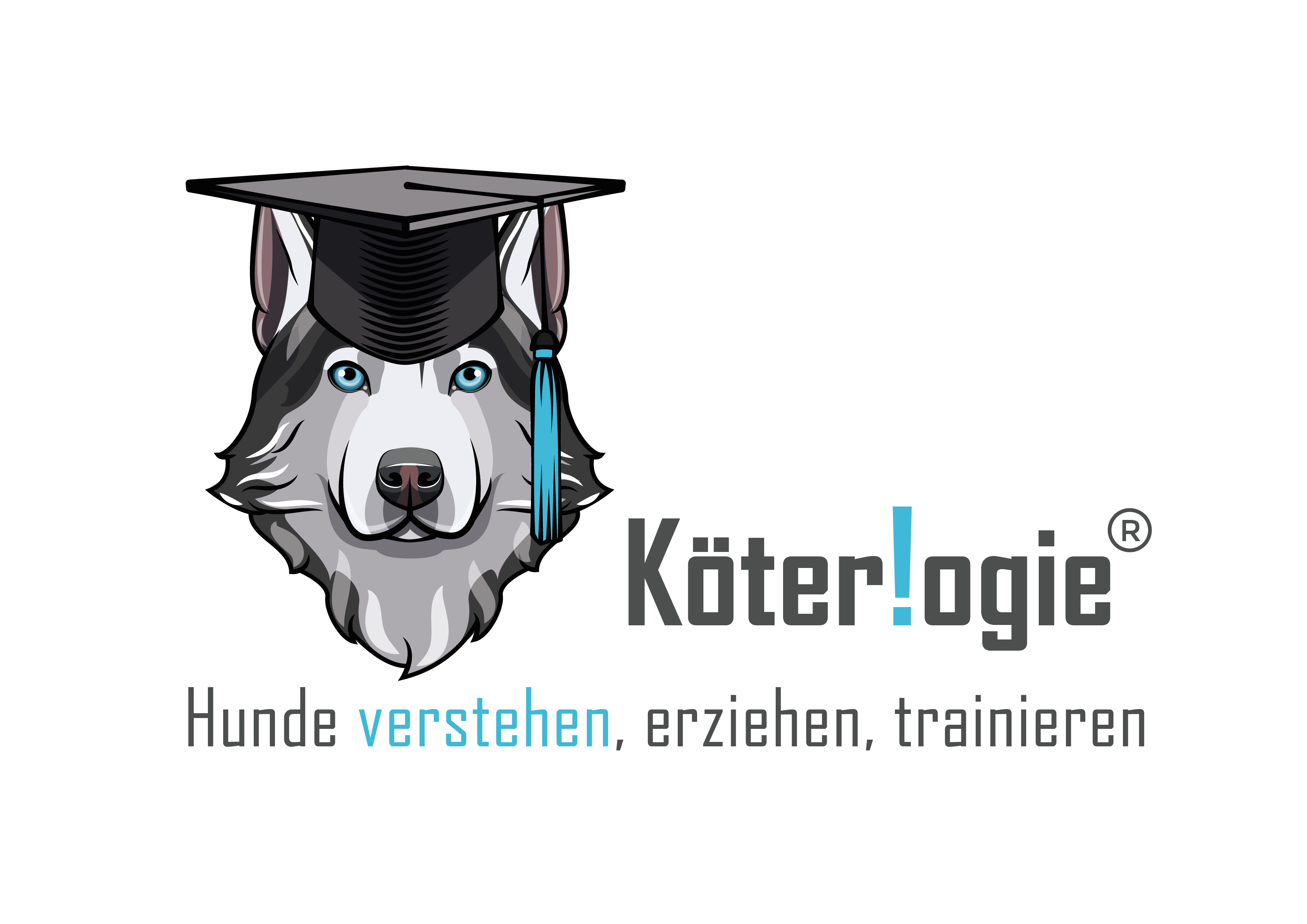 Coaching für Mensch & Hund