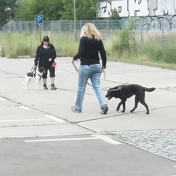Begegnungstraining Fortschritt