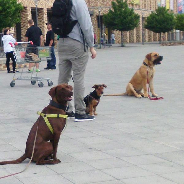 Alltagstraining City