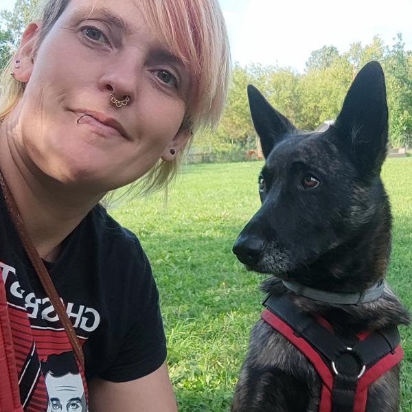 Schmerzen beim Hund erkennen