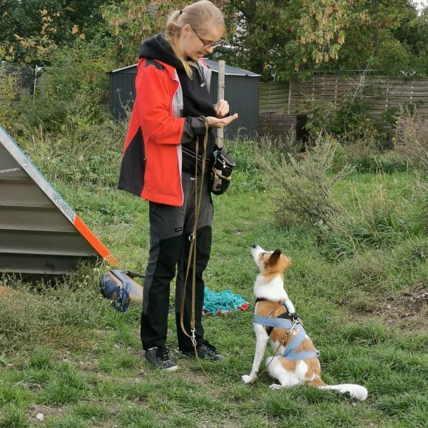 Grundschule (Anfänger)