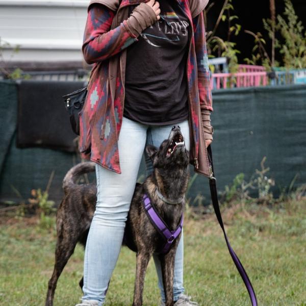 Grundgehorsamskurs Feb