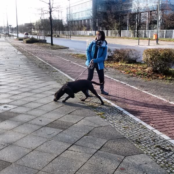 Intensivkurs Leinenführigkeit