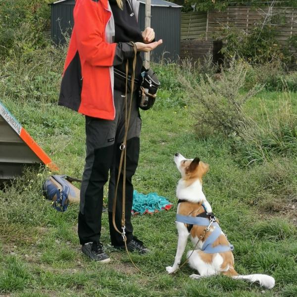 Grundschule (Anfänger)